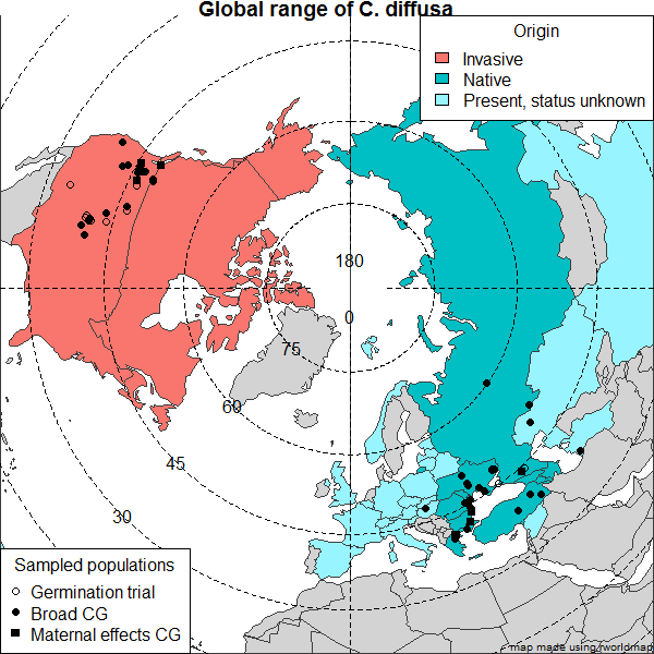 Range and collection map of Centaurea diffusa