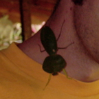 Brian, there's a praying mantis on your neck