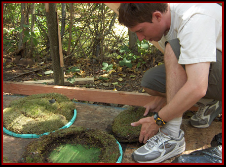 mike removes a reserve area from a moss patch