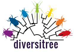 Diversitree logo
