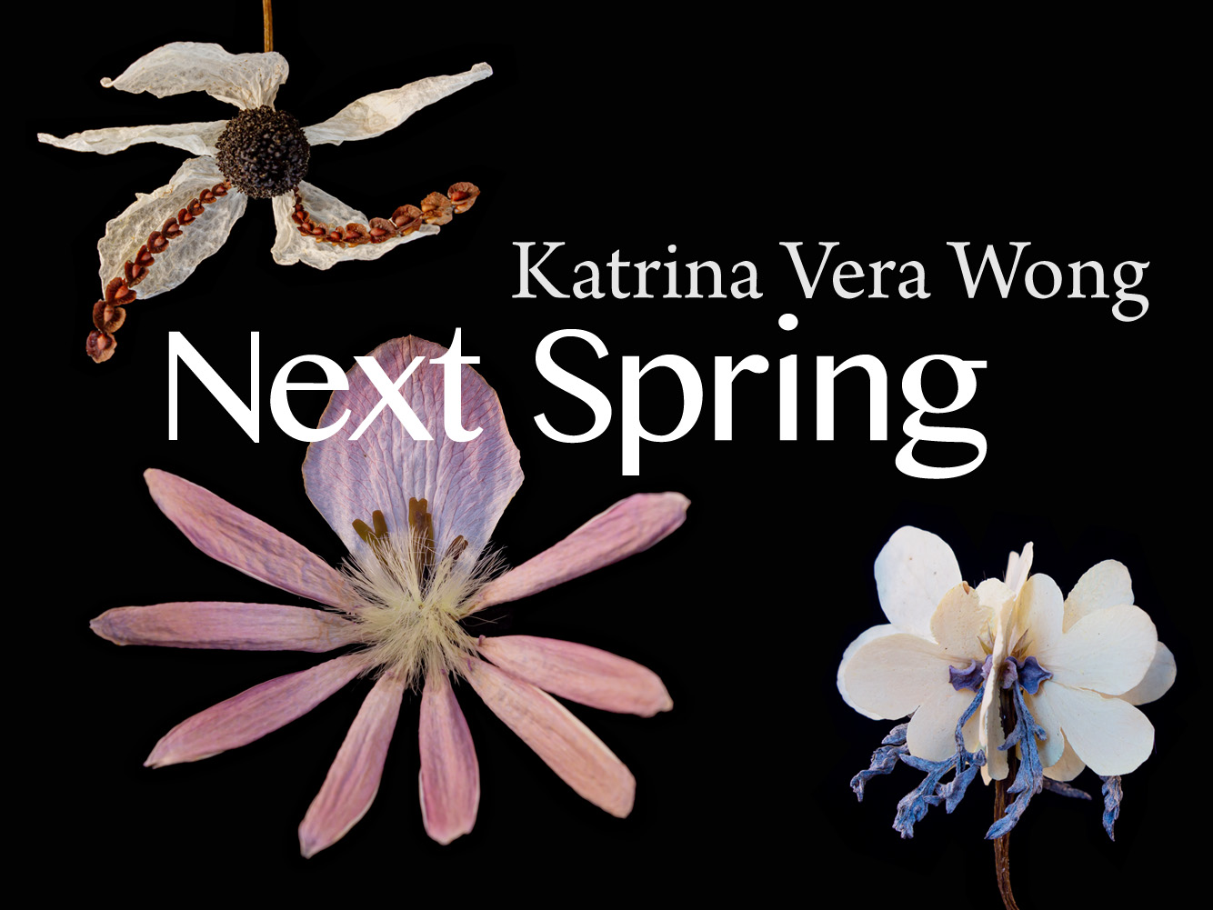 Katrina Vera Wong's reconstructed Frankenflora