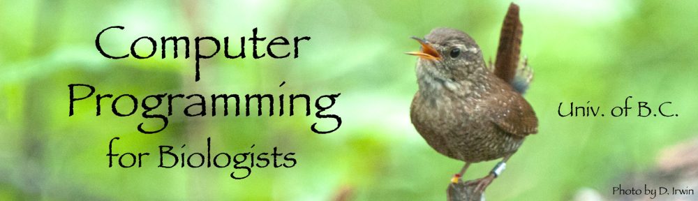 Winter wren (small brown songbird against a green forest background) from northeast British Columbia