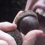 Kate and an acorn-like thing