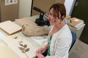 Jennifer Ackerfield, Herbarium Curator in the Biology Department, shows off specimins in the CSU collection. May 12, 2015